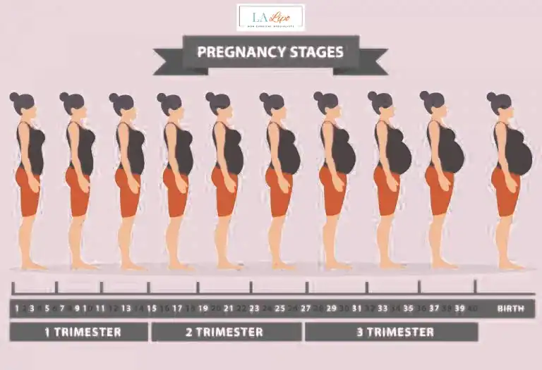 First Trimester (Weeks 1–12): Early Changes You Might Not Notice Nantwich